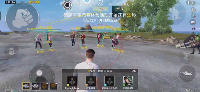 和平精英外挂ACE卡密是多少（和平精英外挂卡密）